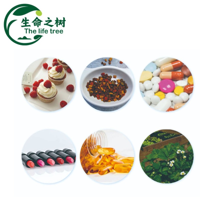 Curdlan Gum Factory - Food Grade Thickening Gel Natural