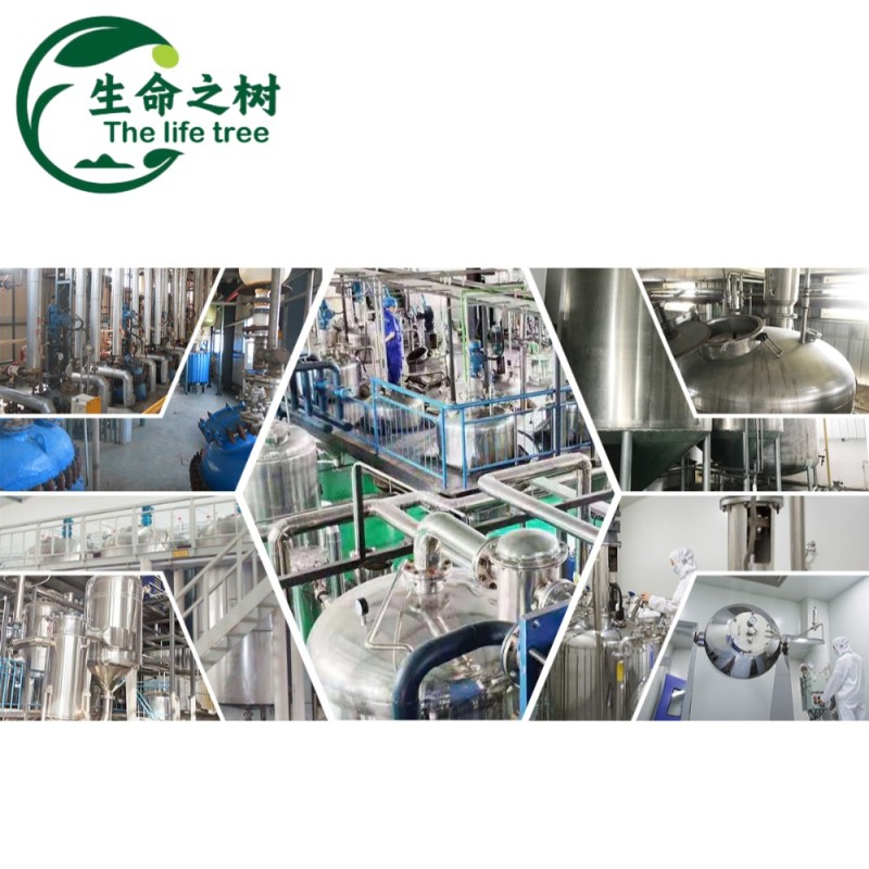 Dicalcium Phosphate Factory - Food Grade Nutritional Enhancers