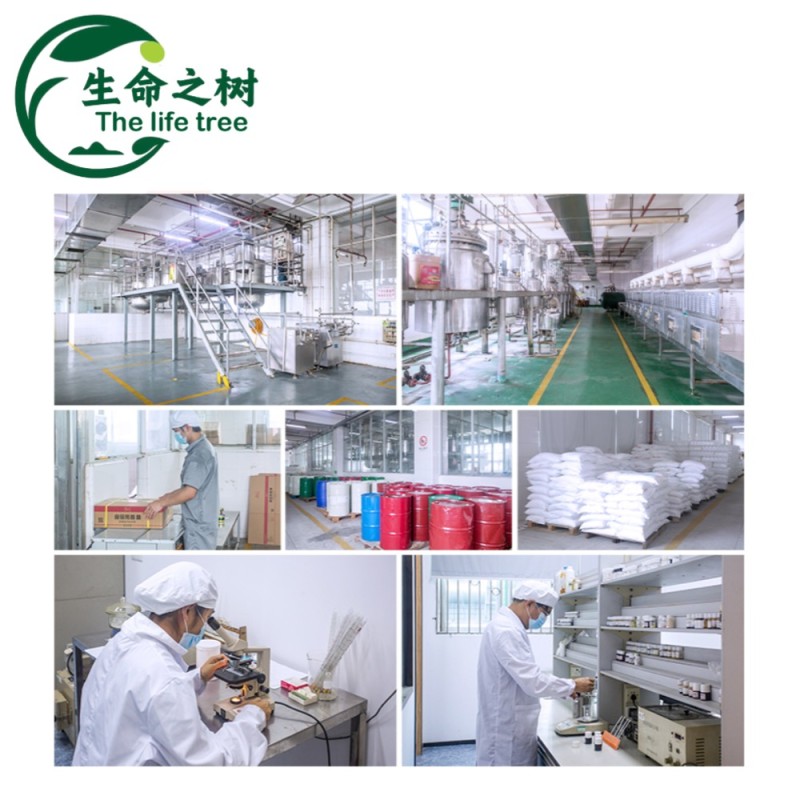 Bread Preservative Supplier - High Efficiency Anti mold Aging