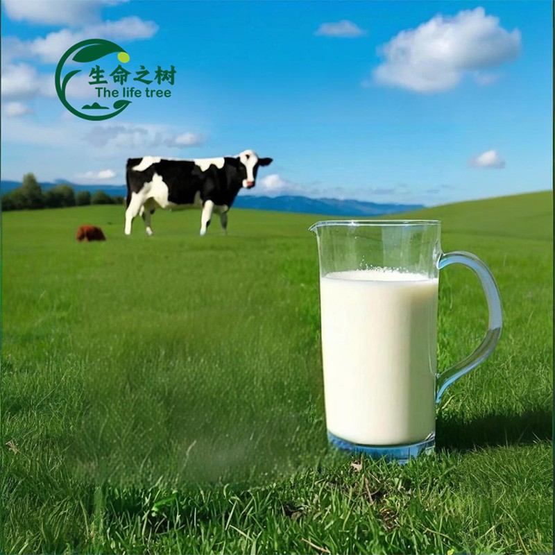 Instant Milk Powder Factory - Bulk Export for Cooking Beverages