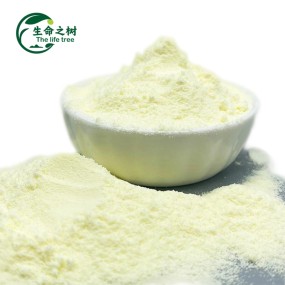Skimmed Milk Powder Supplier - Non-fat Dairy Powder High Quality