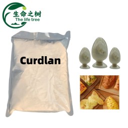 Curdlan Gum Factory - Food Grade Thickening Gel Natural