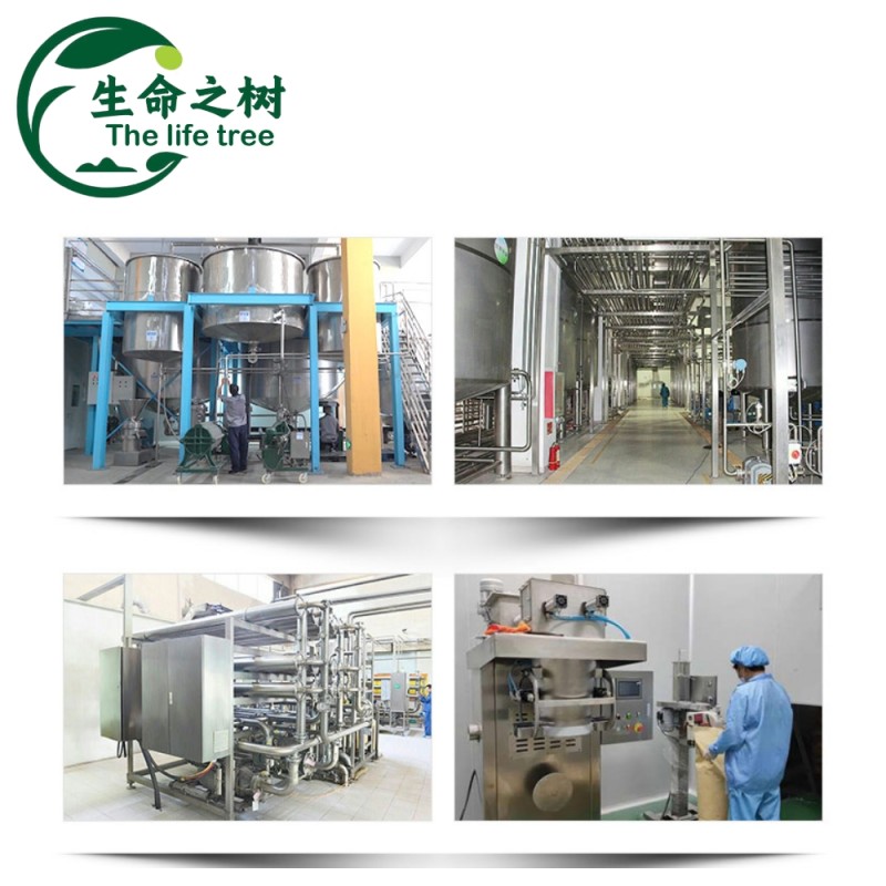 Flour Preservative Supplier - Noodles Dumpling Wrappers No Additives