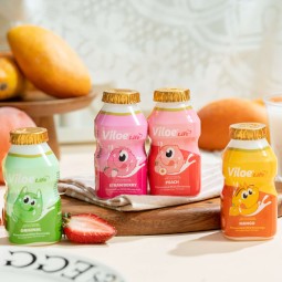 Viloe Life Original Flavor Lactobacillus Drink 100ml*4 Pack in Bottles with Strawberry Peach Mango Flavors Other Beverages