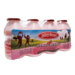 Jelley Brown Lactobacillus Flavored Fermented Milk Soft Drink Dairy Drink