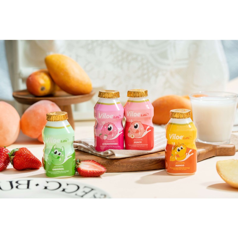 Viloe Life Original Flavor Lactobacillus Drink 100ml*4 Pack in Bottles Primary Mango & Peach Flavored Other Beverages