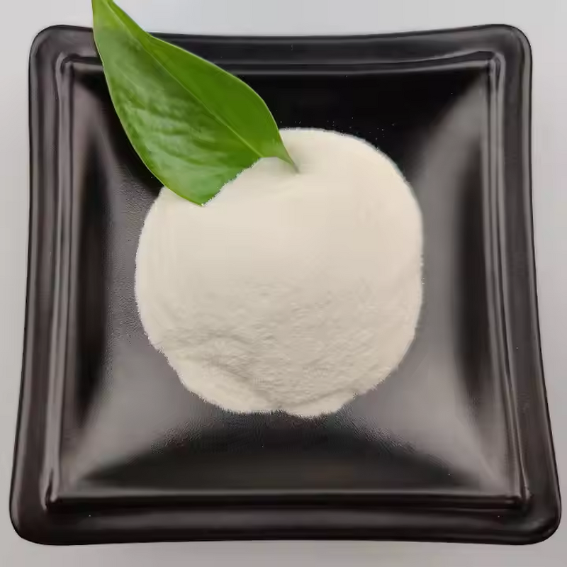 Saccharin Sodium Factory - Food Grade 20-40 Mesh Bulk Supplier