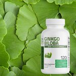 Brain and Cognitive Function Series