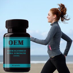 Ashwagandha Extract Capsules Factory - Herbal Powder Plant Root Supplement