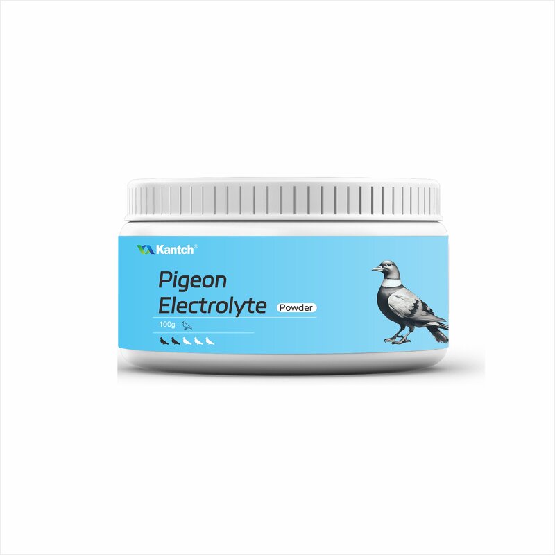 Racing Pigeon Probiotics Manufacturer - Boost Energy & Repair Intestinal Health