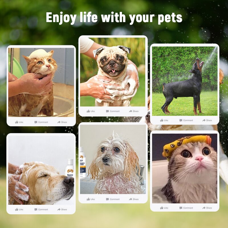 Dog Pet Shampoo Manufacturer - Natural Fragrant Nourishment Soft Cleaning Product