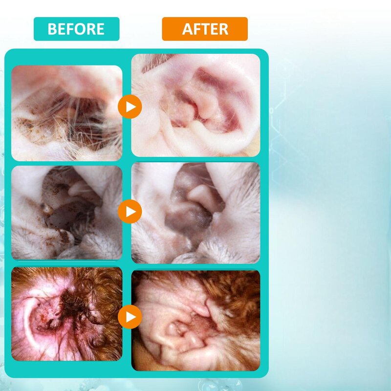 Dog Pet Ear Drops Manufacturer - Wholesale Customized Washing Ear Cannal Cleaner