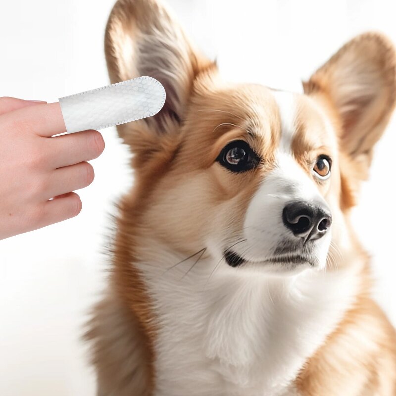 Pet Ear Care Wipes Manufacturer - Eco-Friendly Natural Dog Cat Finger Wipes