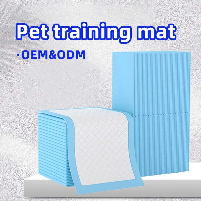 Dog Diaper Manufacturer - Customized Strong Absorption Skin Friendly Pee Pads