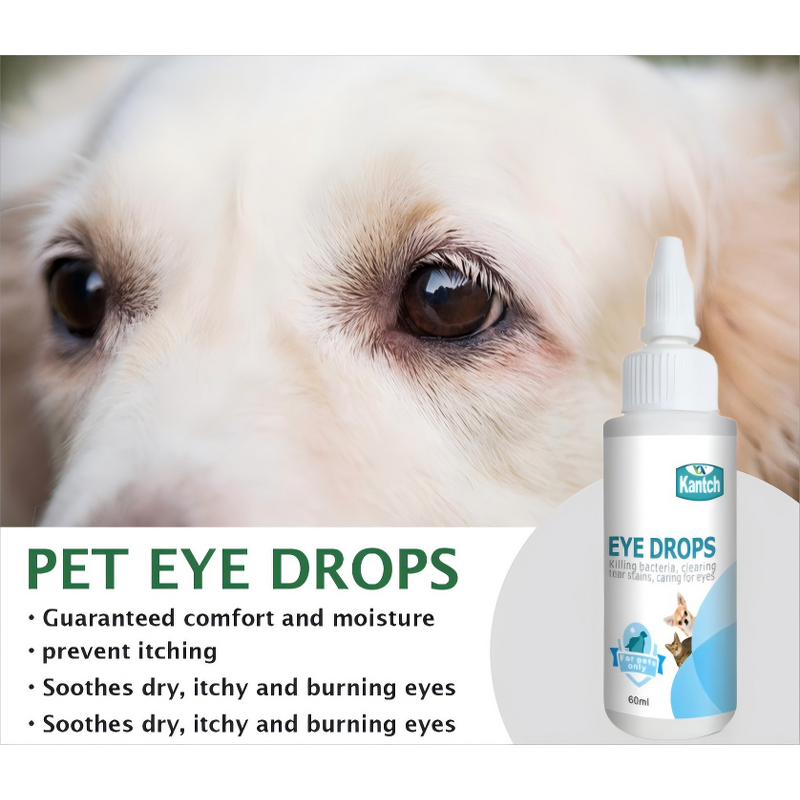 Dog Eye Drops Manufacturer - Professional OEM Wholesale Ophthalmic Solution