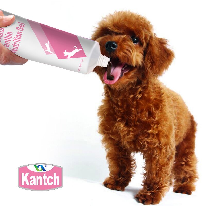 Pet Astaxanthin Gel Supplement Manufacturer - Dog Private Label High Nutritional