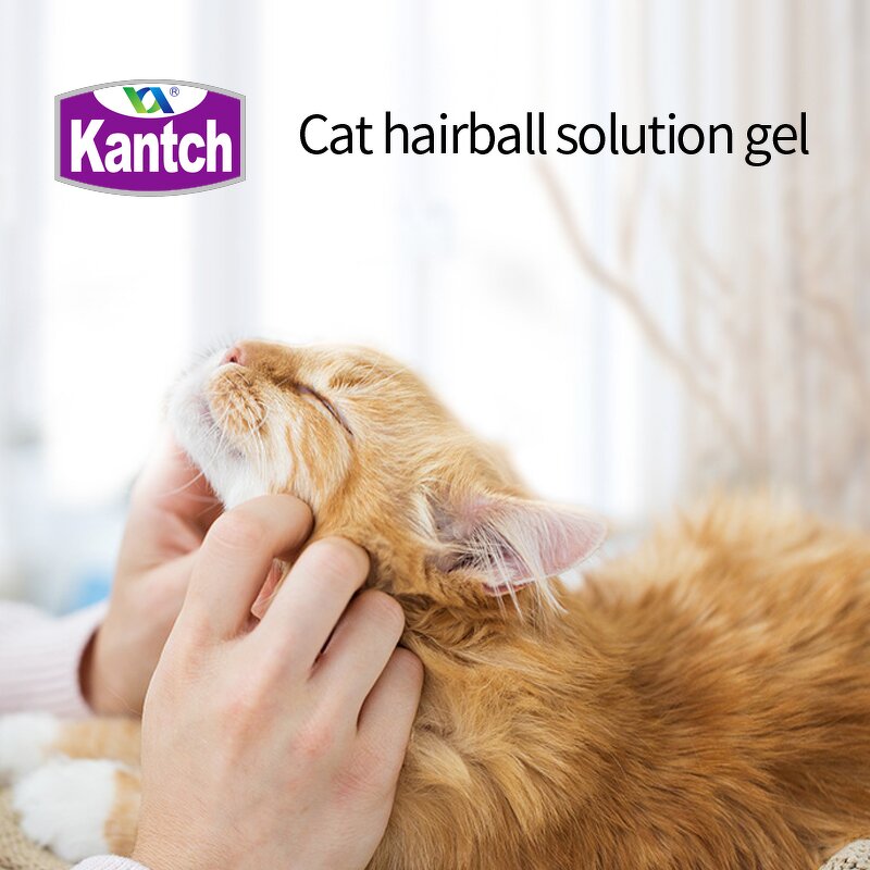Dog Cat Vitamins Gel Manufacturer - Private Label 125g Hairball Solution