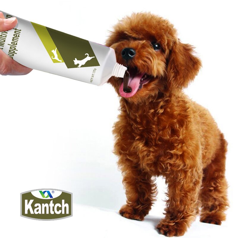 Cat Multivitamin Gel Manufacturer - Customize High Calorie Dietary Supplement