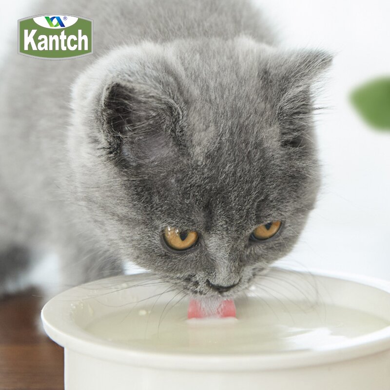 Cat Sheep Milk Powder Manufacturer - Customize Improve Digestion Nutritional Supplement