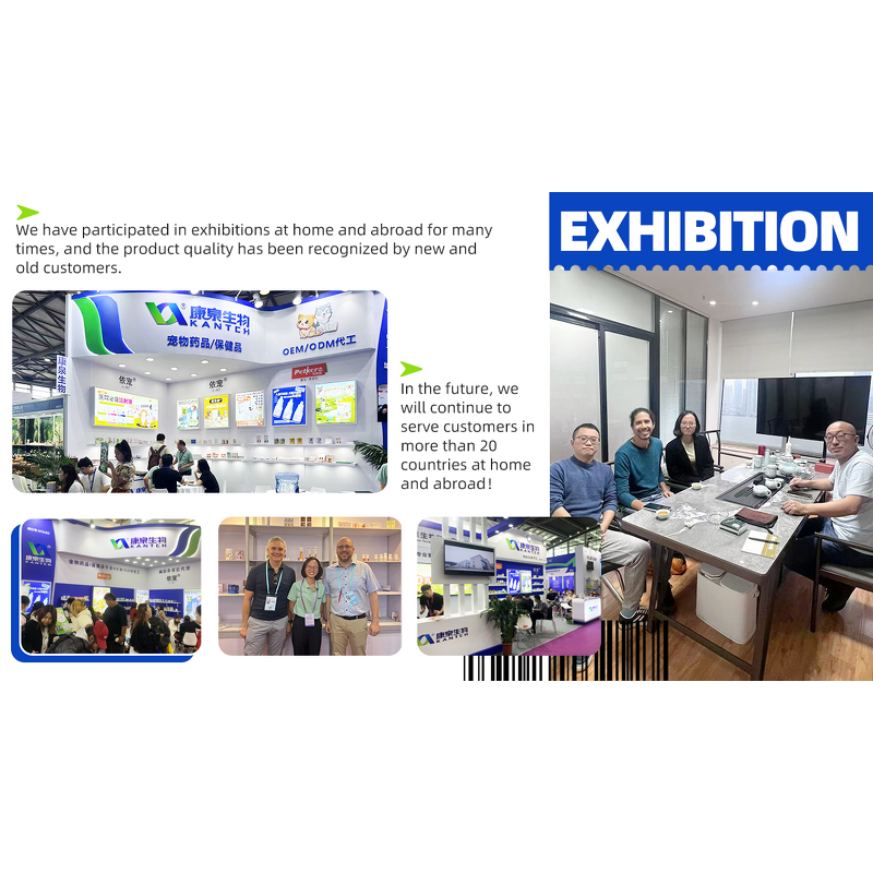 Pet Paw Foam Shampoo Manufacturer - Foot Care for Dogs and Cats