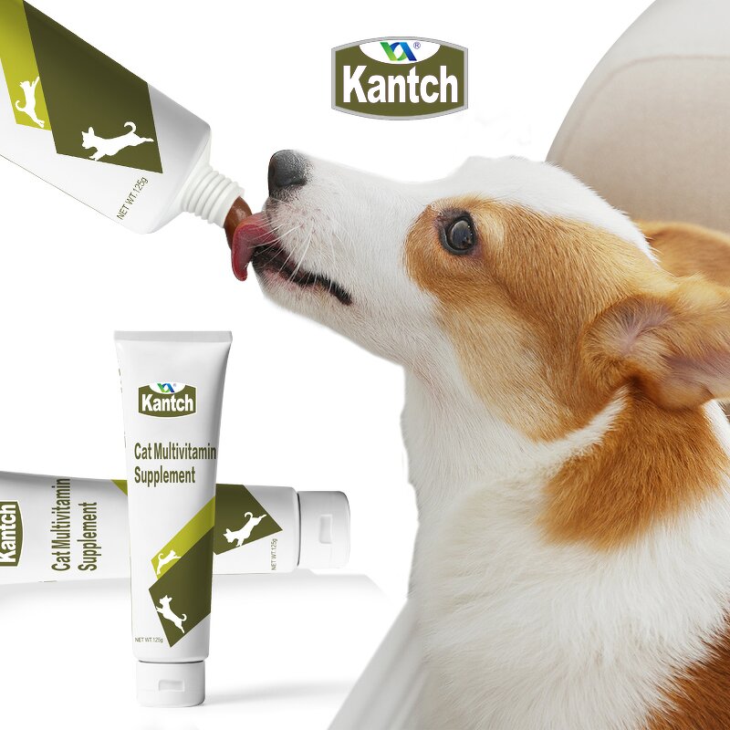 Cat Multivitamin Gel Manufacturer - Customize High Calorie Dietary Supplement