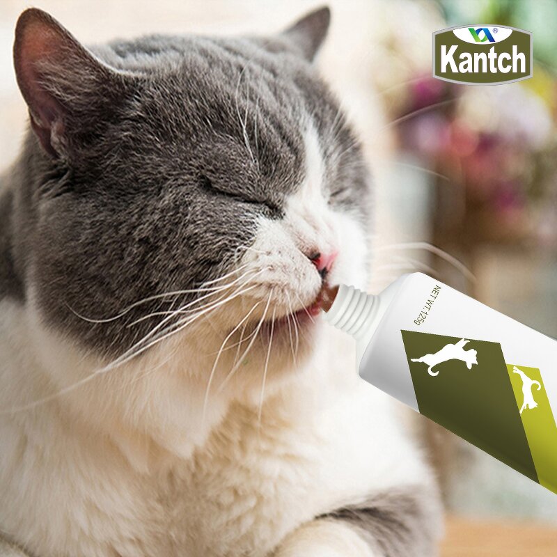 Cat Multivitamin Gel Manufacturer - Customize High Calorie Dietary Supplement