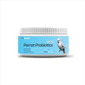 Racing Pigeon Probiotics Manufacturer - Boost Energy & Repair Intestinal Health