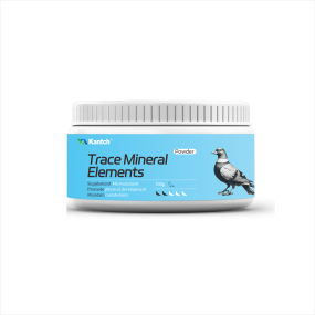 Racing Pigeon Trace Mineral Supplement Manufacturer - Boost Energy & Immunity
