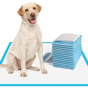 Leak-Proof Pet Training Pads Manufacturer - Customized Soft Touch Strong Absorption