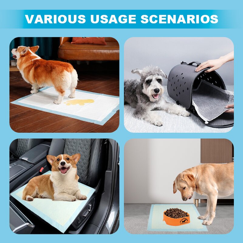 Dog Training Pad Manufacturer - Customized Disposable Skin Friendly Pee Pads