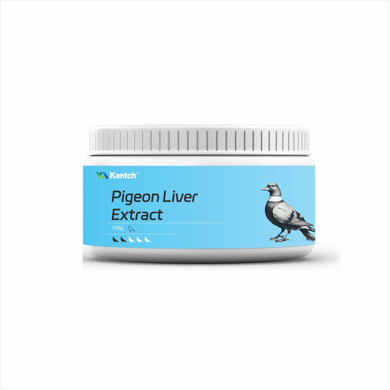 Racing Pigeon Probiotics Manufacturer - Boost Energy & Repair Intestinal Health