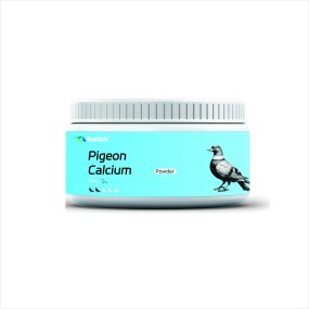 Racing Pigeon Calcium Powder Manufacturer - Promote Absorption for Birds