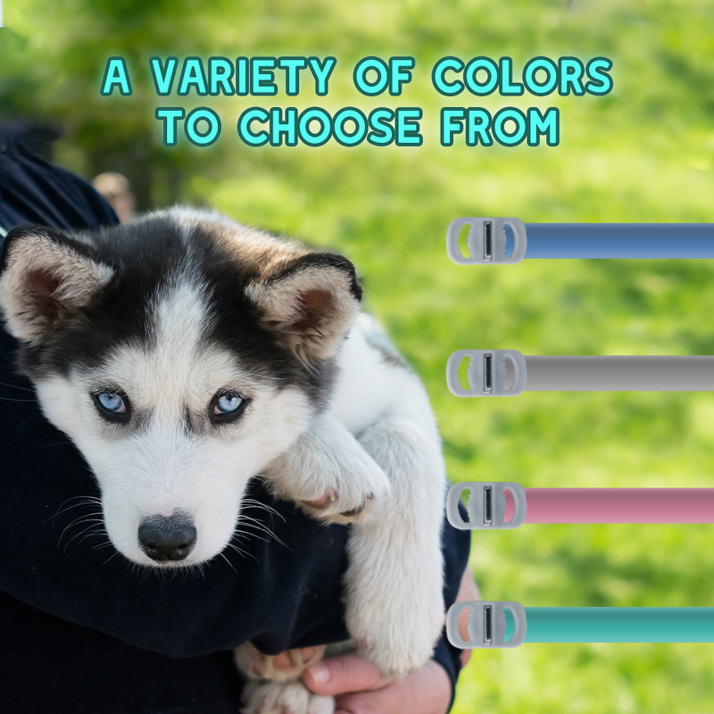 Dog Collar Manufacturer - Custom Multicolor Silicone Waterproof Luminous