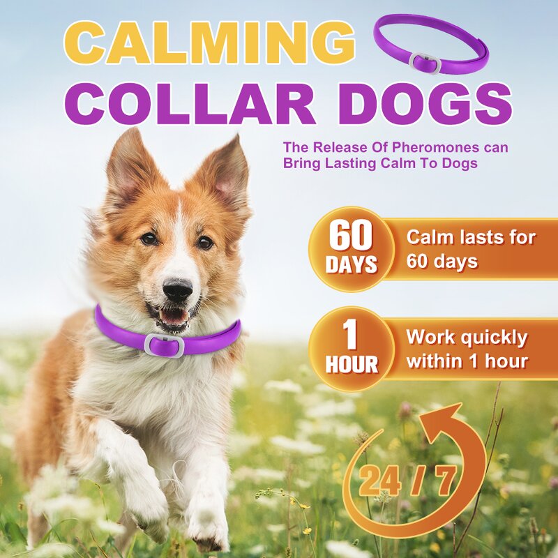 Cat Collar Supplier - 4pk PVC with Calming Pheromones for Relaxation