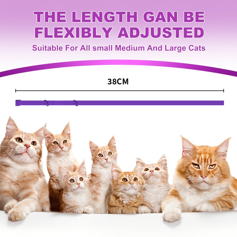 Cat Calming Collar Supplier - OEM Pheromone-Infused Quick Release Adjustable