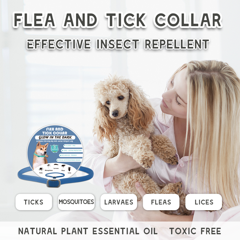 Dog Collar Manufacturer - Custom Multicolor Silicone Waterproof Luminous