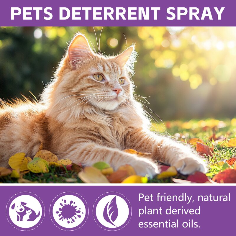 Cat Deterrent Spray Factory - Natural Repellent for Furniture Safe Indoor