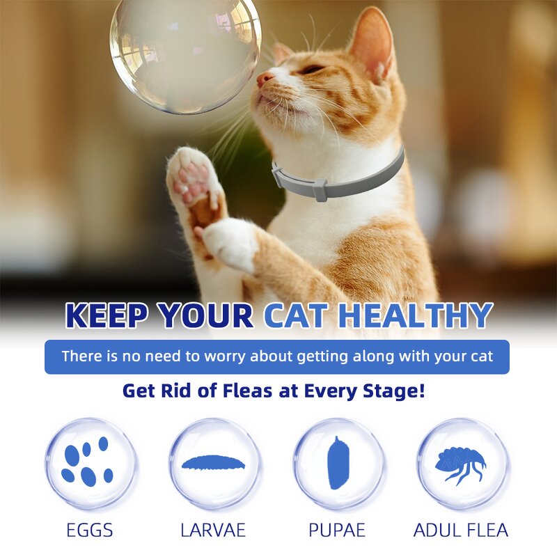 Pet Collar Supplier - Natural Formula Anti-Flea Tick Mosquito Silicone