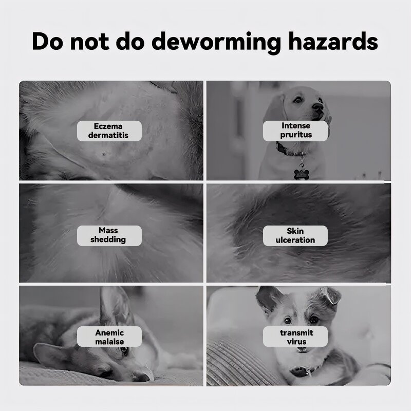 Flea & Tick Treatment Manufacturer - for Cats Ferrets 3 Pipettes Drops