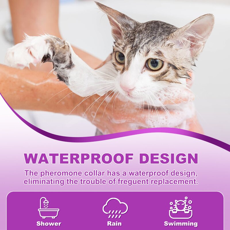 Cat Calming Collar Manufacturer - OEM Adjustable Waterproof 30-Day Relief