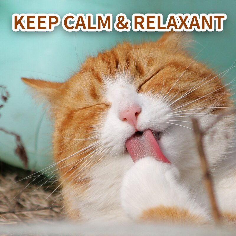 Cat Calming Collar Factory - Natural Pheromone Reduce Anxiety for Cats