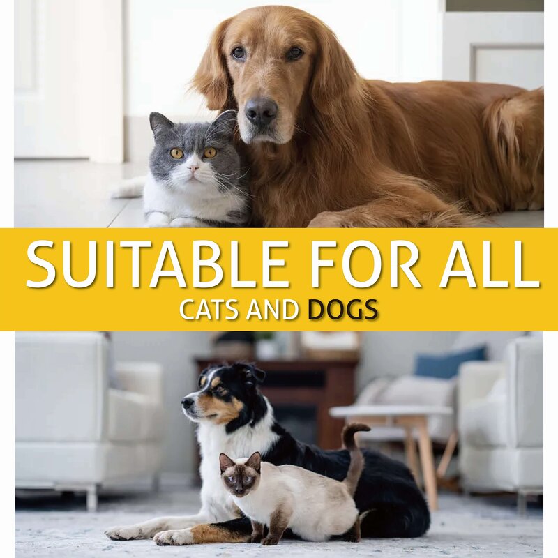 Pet Hemp Oil Supplier - 30ml with Dropper for Pets and Human Use