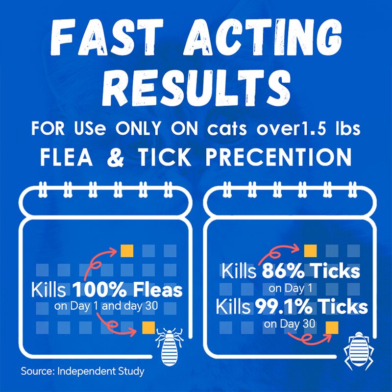 Flea & Tick Drops Supplier - 2025 New Topical Prevention for Cats