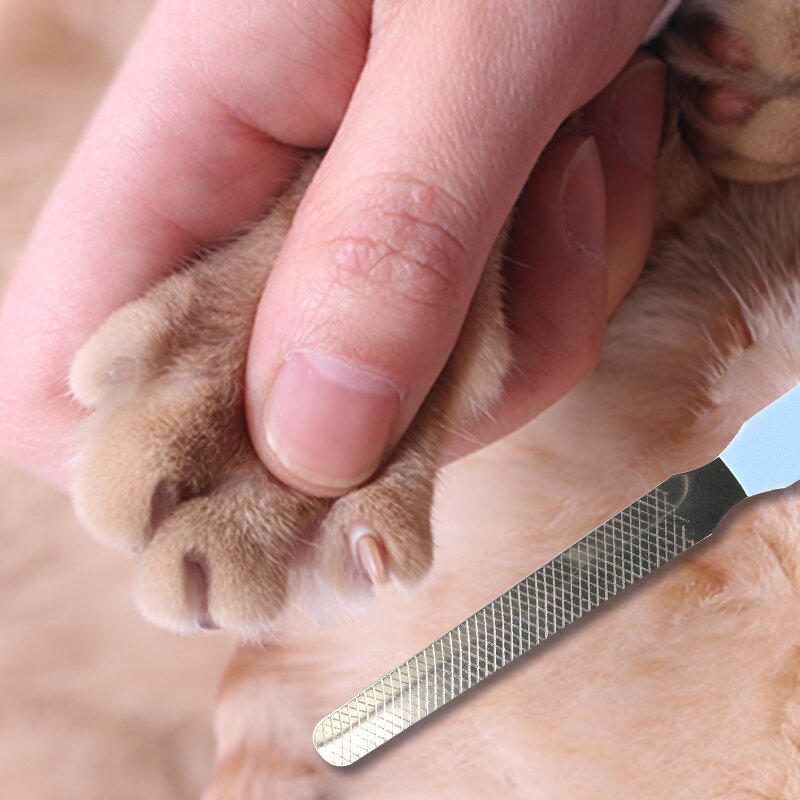 Pet Nail Clippers Manufacturer - Stainless Steel Nail Clipper Grinder