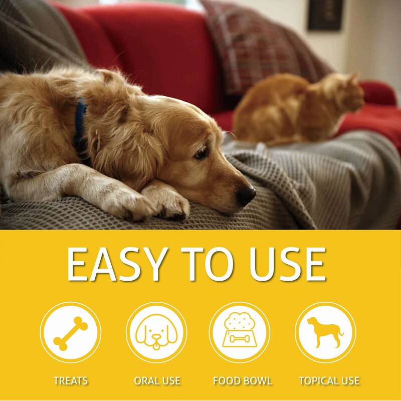 Pet Hemp Oil Manufacturer - Natural Calming Drops for Dogs Cats Anxiety