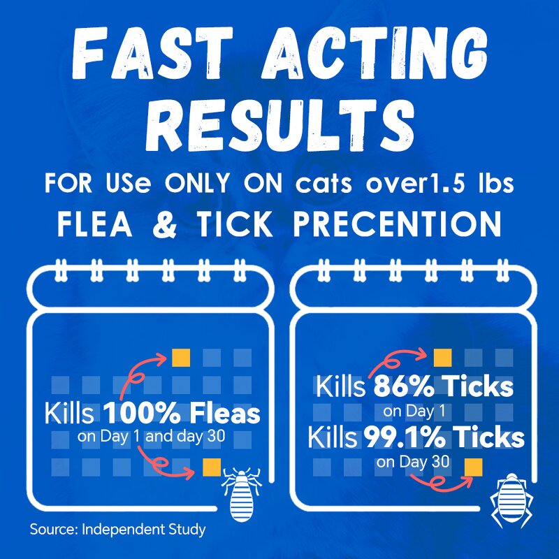 Cat Flea Treatment Manufacturer - OEM Fast Acting Topical Drops Online
