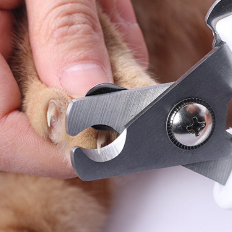 Pet Nail Clippers Manufacturer - Stainless Steel Nail Clipper Grinder