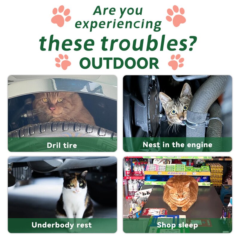 Cat Repellent Ball Supplier - 10 Pack Outdoor Natural Peppermint Camphor Oil