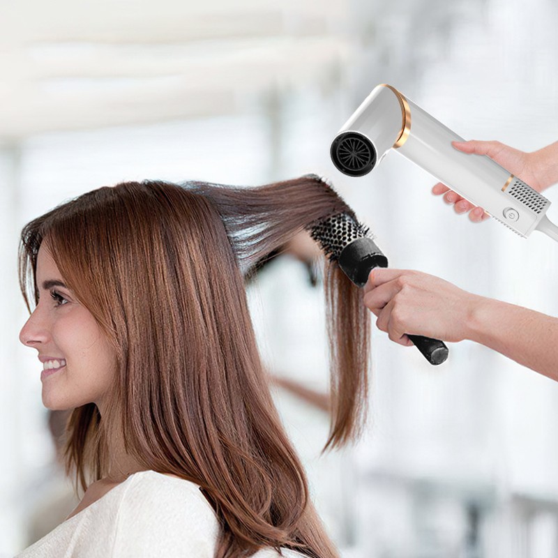 Professional Automatic One-Step Hair Straightener Dryer Ceramic Factory Brushless NTC Induction Negative Ions Negative Electric