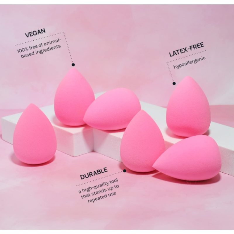 Makeup Sponge Set Latex Free and High-definition Set of 6 Makeup Wonder Blender for Powder Cream and Liquid